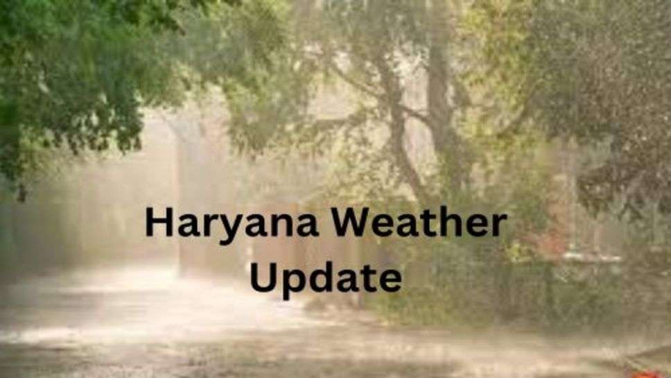 Haryana Weather Update: हरियाणा में 30 नवंबर से 4 दिसंबर तक होगी इन जिलों में बारिश