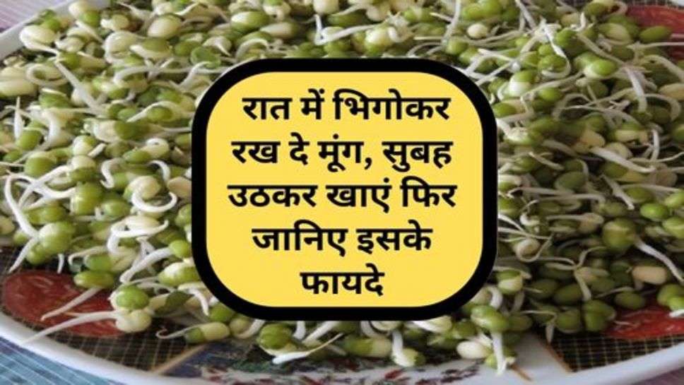 Health Tips : रात में भिगोकर रख दे मूंग, सुबह उठकर खाएं फिर जानिए इसके फायदे