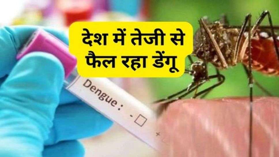 Dengue : देश में तेजी से फैल रहा डेंगू