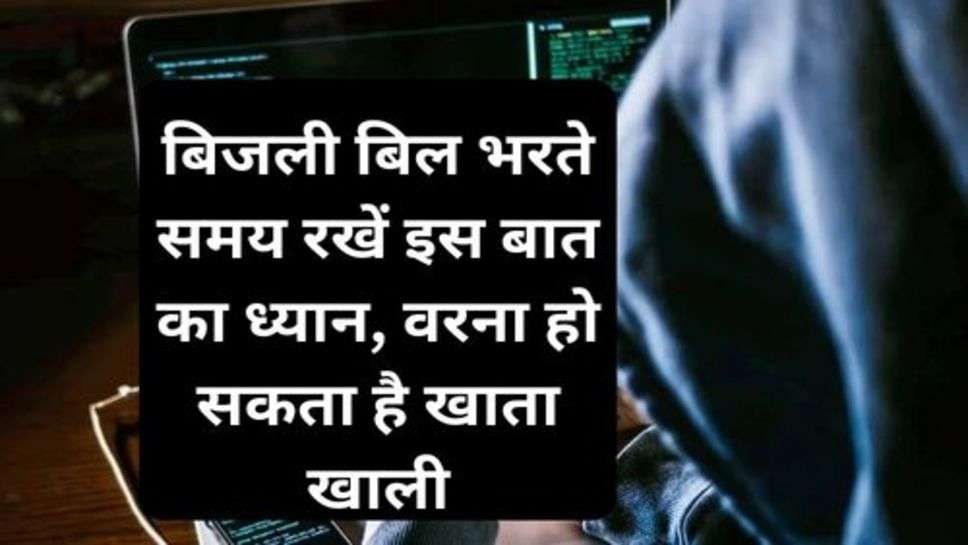 Electricity Bill Fraud: बिजली बिल भरते समय रखें इस बात का ध्यान, वरना हो सकता है खाता खाली