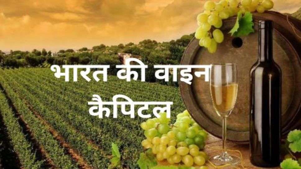 Wine Capital of India: भारत के इस शहर को कहा जाता है वाइन कैपिटल