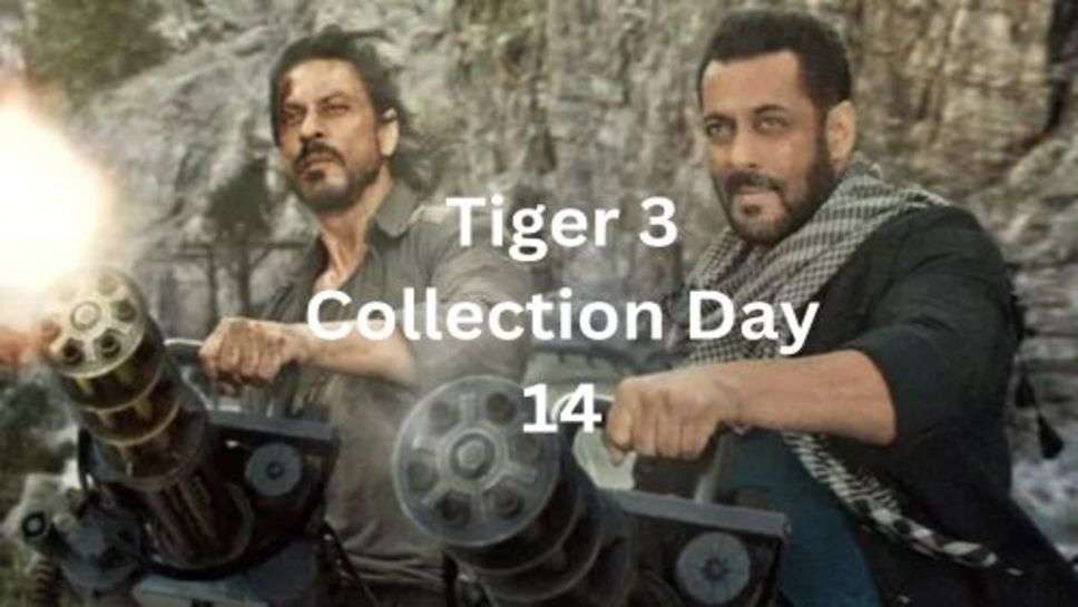 Tiger 3 Collection Day 14: टाइगर 3 ने 14 दिन लगाया कमाई में उछाल, यहाँ तक पहुंचा कनेक्शन