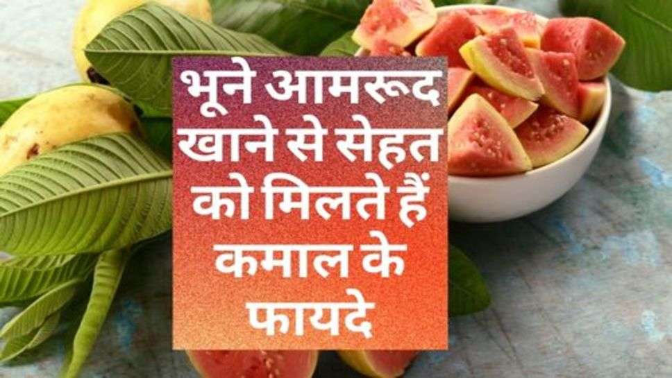 Health Tips : भूने आमरूद खाने से सेहत को मिलते हैं कमाल के फायदे, आप भी जानें