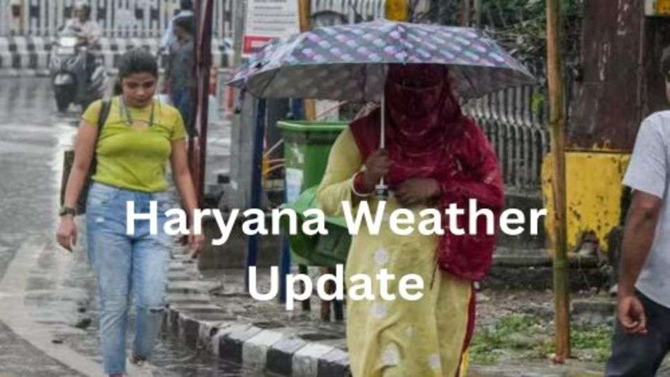 Haryana Weather Update: अगले 3 दिन रहेगा मौसम साफ, तेज हवा के साथ ठंड में होगी बढ़ौतरी