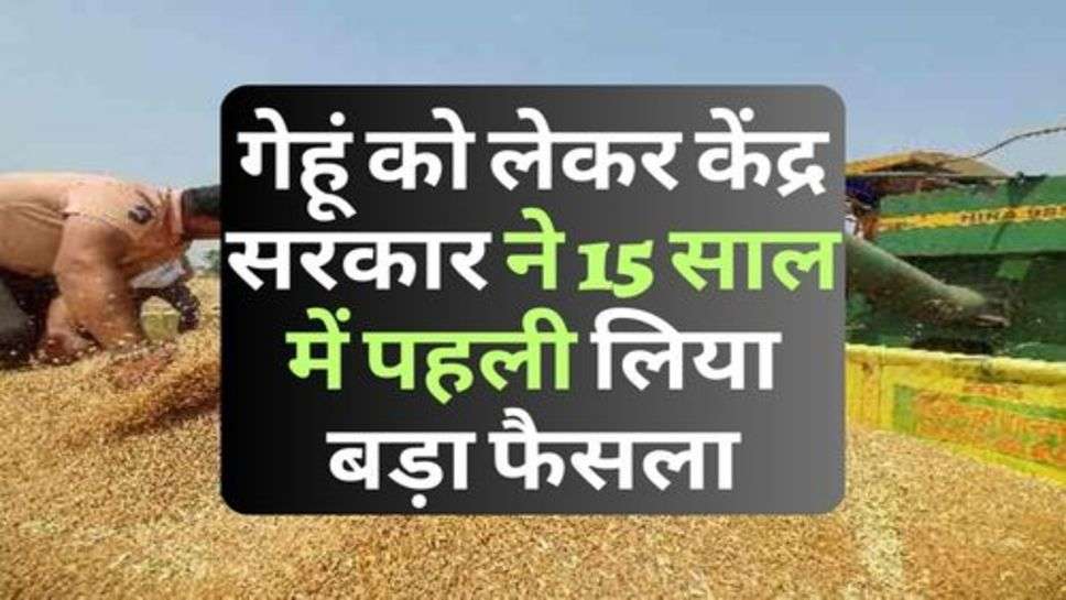 Wheat Price 2023 : गेहूं को लेकर केंद्र सरकार ने 15 साल में पहली लिया बड़ा फैसला