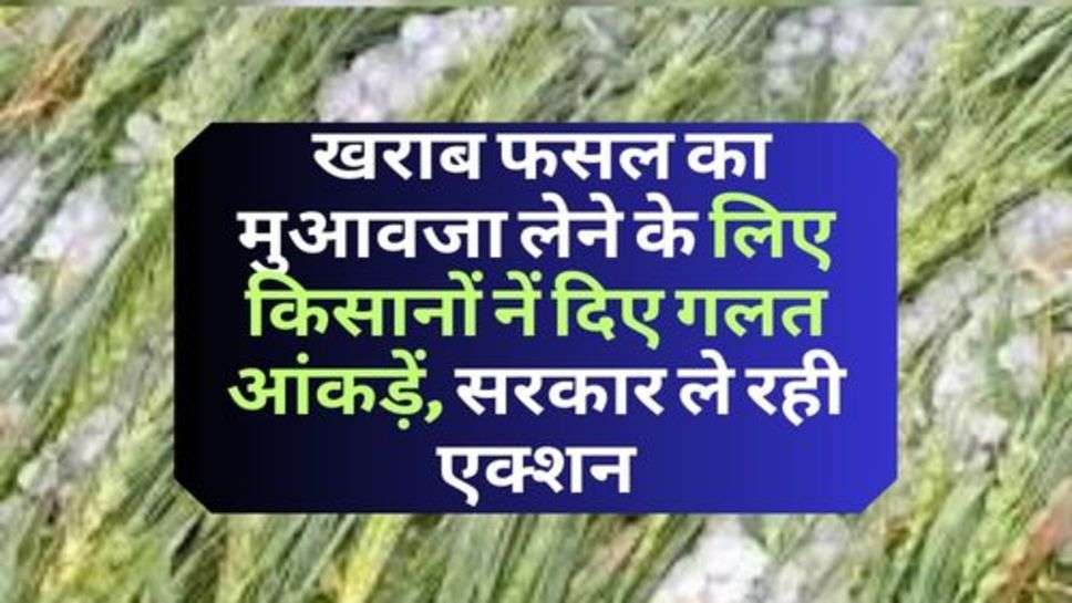 Haryana Latest News : खराब फसल का मुआवजा लेने के लिए किसानों नें दिए गलत आंकड़ें, सरकार ले रही एक्शन