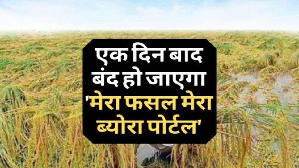 My Crop-My Details Portal : आज ही करा दें सुचना दर्ज, एक दिन बाद बंद हो जाएगा मेरा फसल मेरा ब्योरा पोर्टल