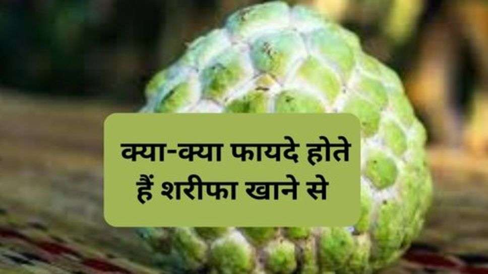 Health Tips : क्या-क्या फायदे होते हैं शरीफा खाने से