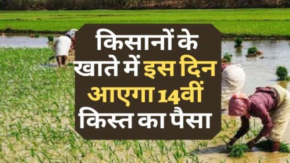 PM Kisan Samman Nidhi Yojana : किसानों के खाते में इस दिन आएगा 14वीं किस्त का पैसा, चेक करें ताजा अपडेट