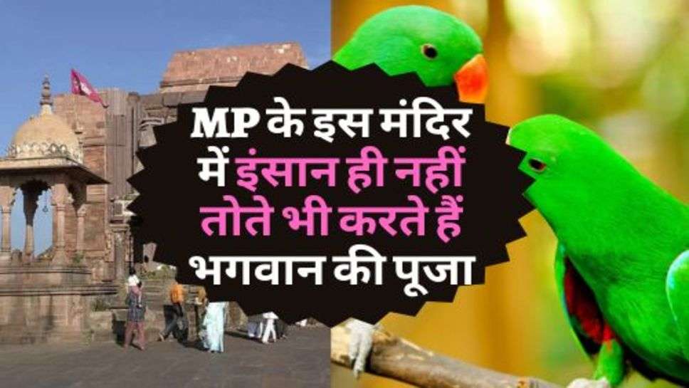 MP के इस मंदिर में इंसान ही नहीं तोते भी करते हैं भगवान की पूजा