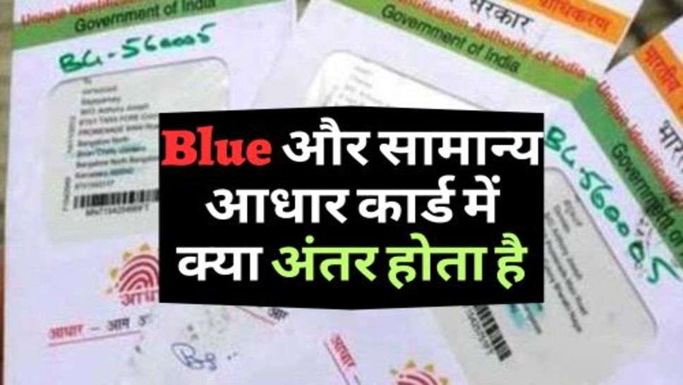 Aadhar Card : जानिए, Blue और सामान्य आधार कार्ड में क्या अंतर होता है