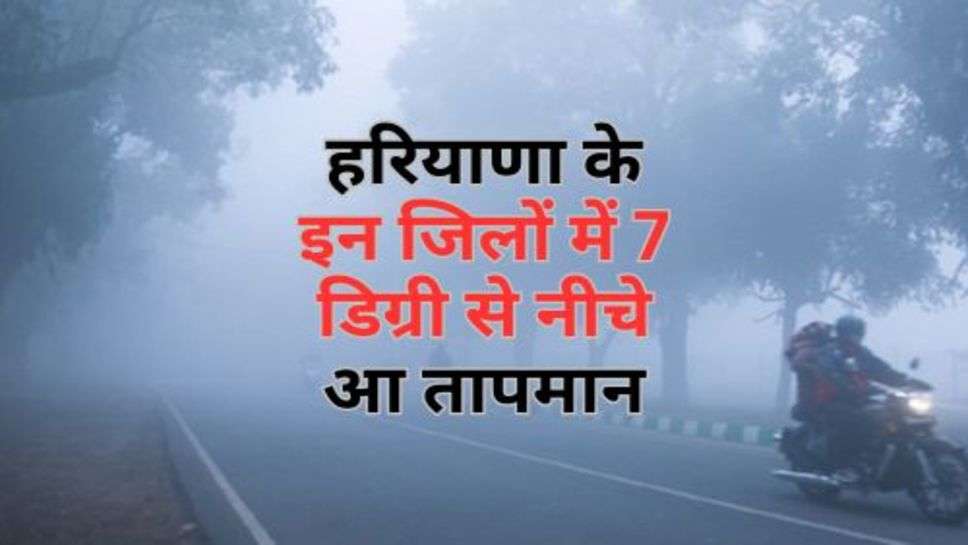 Haryana Weather : हरियाणा के इन जिलों में 7 डिग्री से नीचे  तापमान, कड़ाके की ठंड से ठिठुर रहे लोग