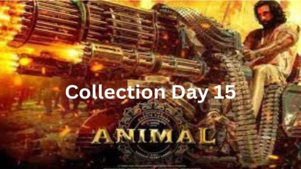 Animal Box office Collection Day 15: एनिमल 15 दिन में 500 पार