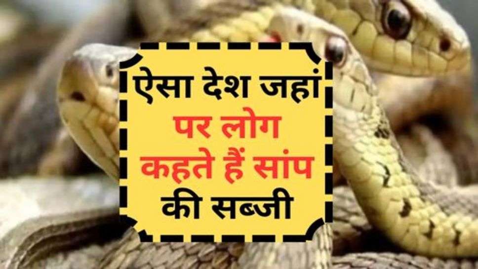 Snake Vegetable : ऐसा देश जहां पर लोग कहते हैं सांप की सब्जी