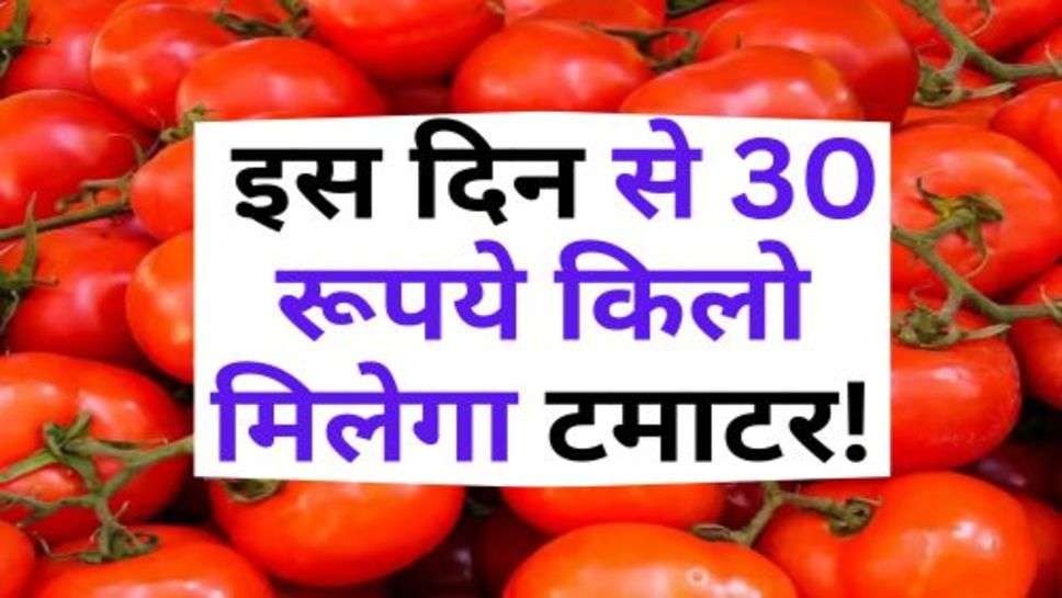 Tomato Price : इस दिन से 30 रूपये किलो मिलेगा टमाटर!