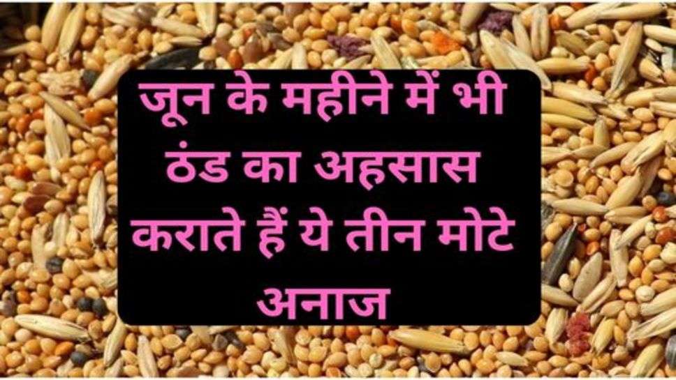 Health Tips: जून के महीने में भी ठंड का अहसास कराते हैं ये तीन मोटे अनाज