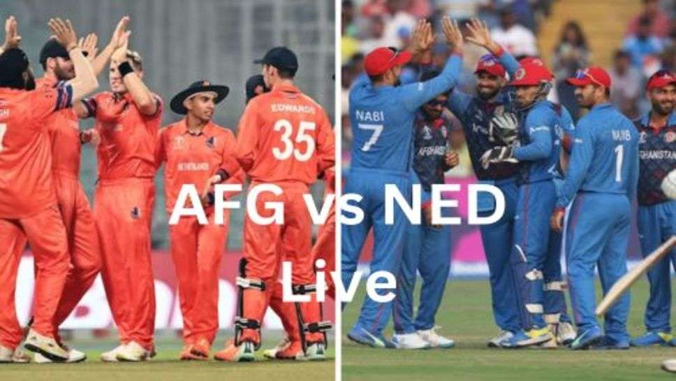 AFG vs NED Live: अफगानिस्तान के गेंदबाजों के आगे नीदरलैंड की एक ना चली