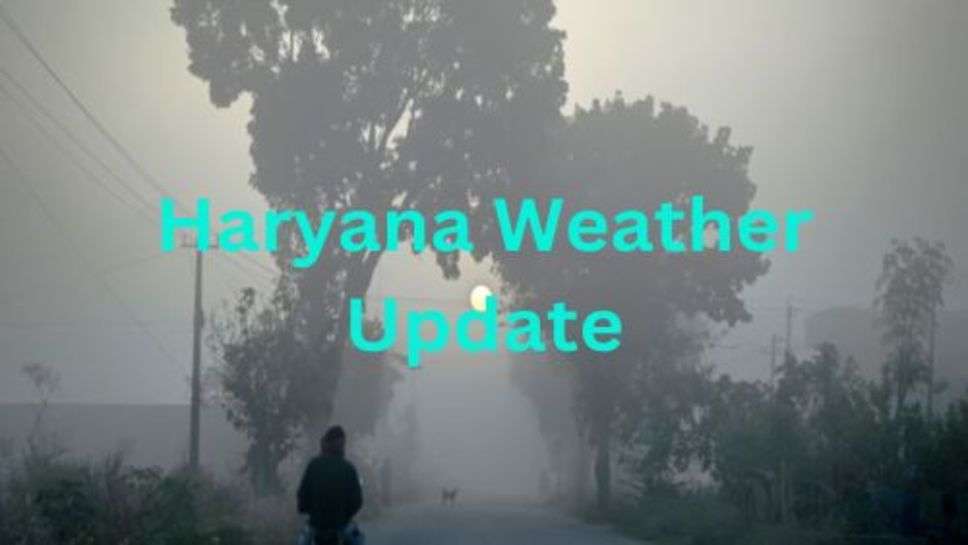 IMD Weather Update: सुबह से ही देखने को मिला मौसम में बदलाव कुछ घंटे में दे सकती है बारिश दस्तक