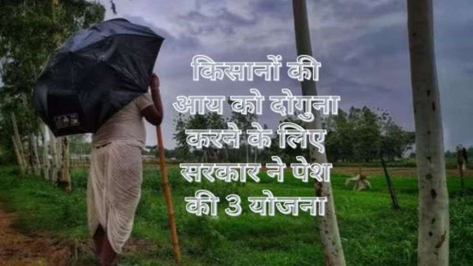 PM Kisan Yojana : किसानों की आय को दोगुना करने के लिए सरकार ने पेश की 3 योजना, अभी कर दें आवेदन