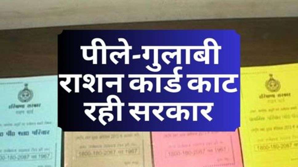 Yellow-Pink Ration Card : पीले-गुलाबी राशन कार्ड काट रही सरकार, कहीं आपका भी तो नहीं नाम