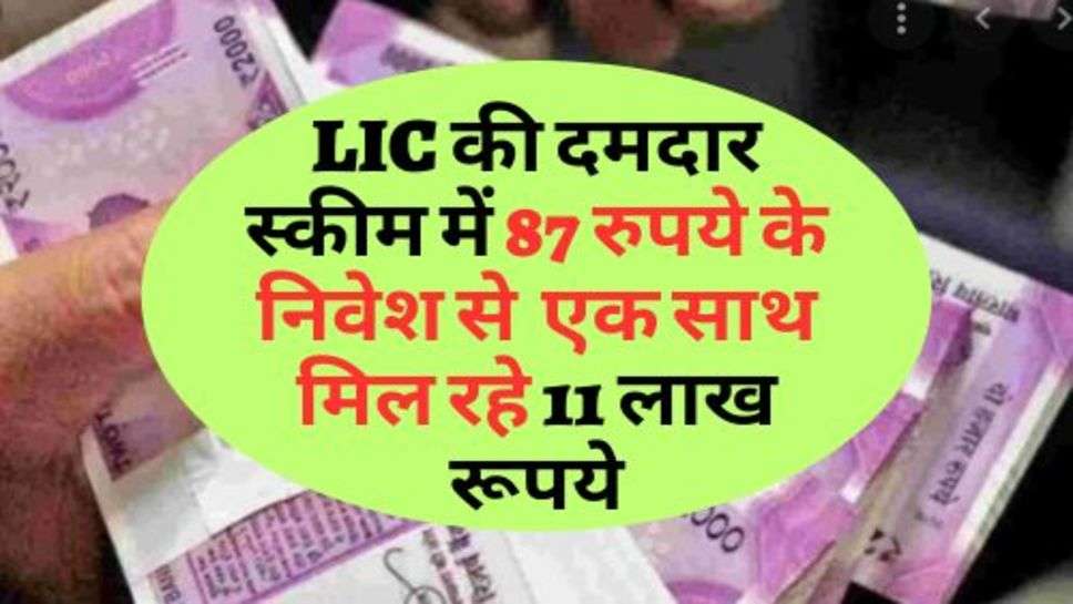 LIC की दमदार स्कीम में 87 रुपये के निवेश से  एक साथ मिल रहे 11 लाख रूपये