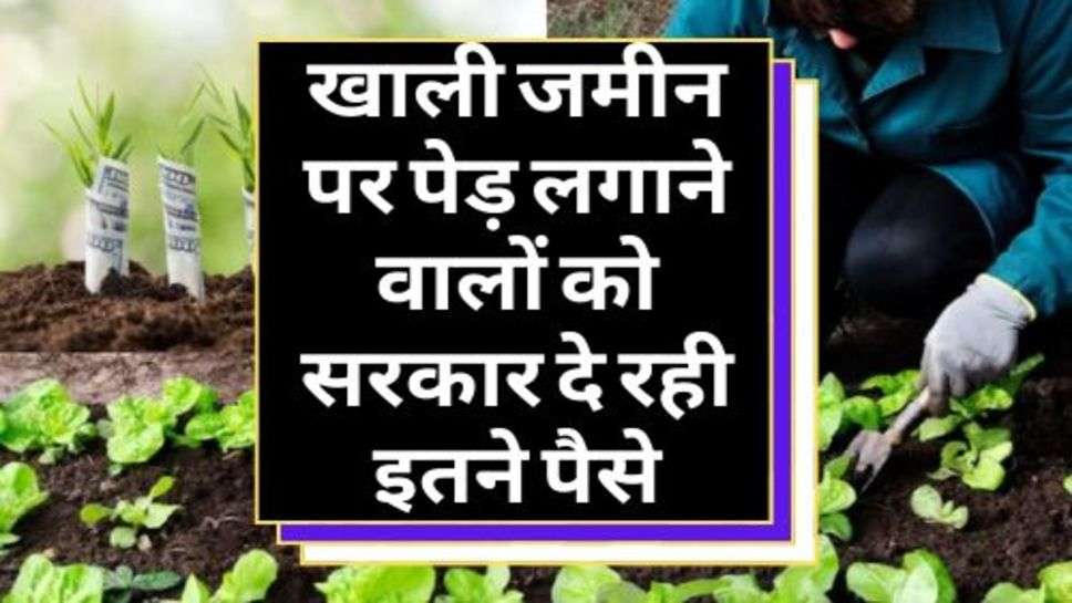 PM Scheme : खाली जमीन पर पेड़ लगाने वालों को सरकार दे रही इतने पैसे