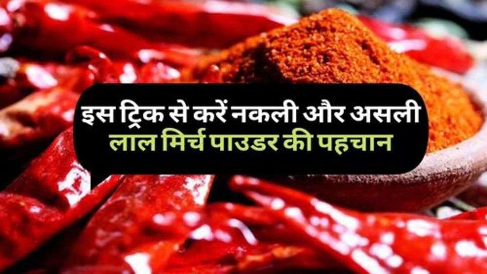 Red Chilli : इस ट्रिक से करें नकली और असली लाल मिर्च पाउडर की पहचान