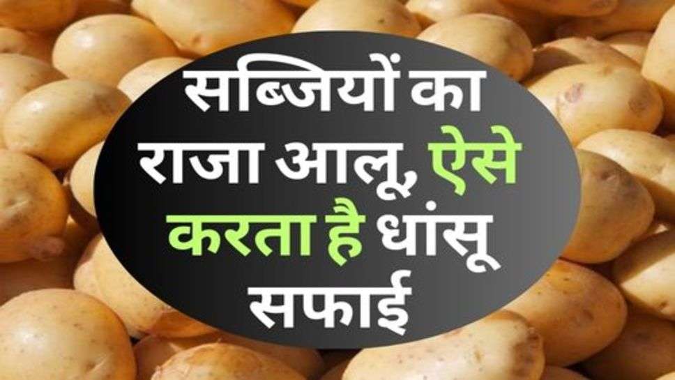 Potato For Cleaning:  सब्जियों का राजा आलू, ऐसे करता है धांसू सफाई