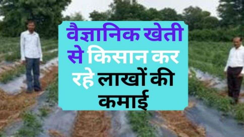 Scientific Farming : वैज्ञानिक खेती से किसान कर रहे लाखों की कमाई, सरकार दे रही सहायता