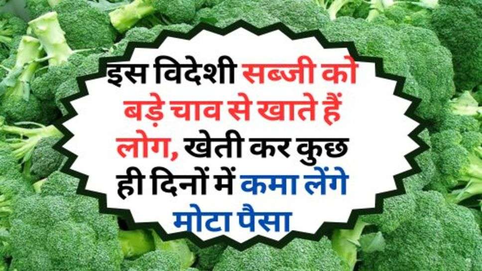 Farming Idea : इस विदेशी सब्जी को बड़े चाव से खाते हैं लोग, खेती कर कुछ ही दिनों में कमा लेंगे मोटा पैसा