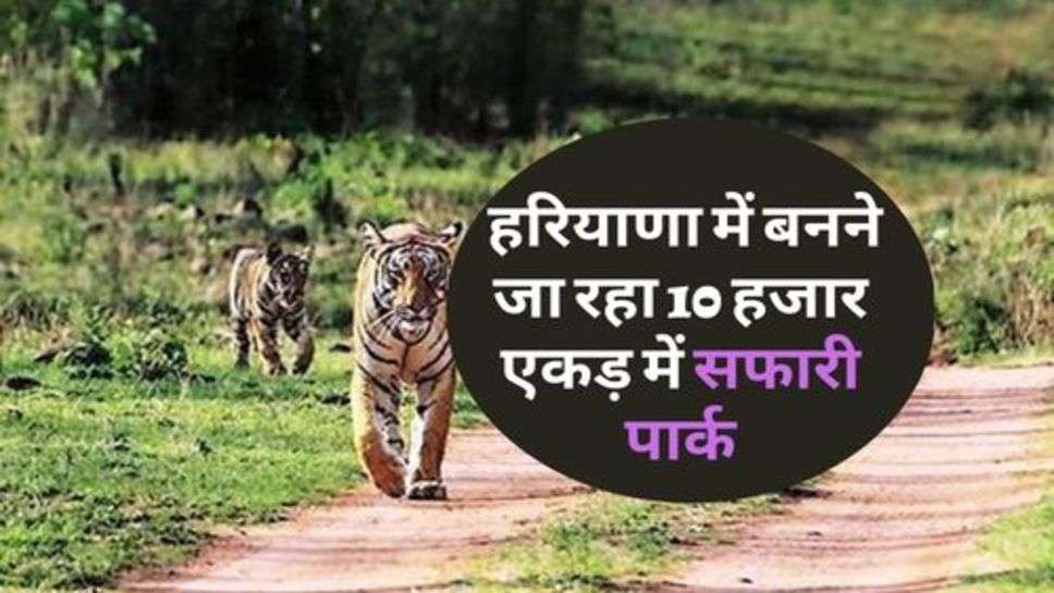 Jungle Safari Park: हरियाणा में बनने जा रहा 10 हजार एकड़ में सफारी पार्क