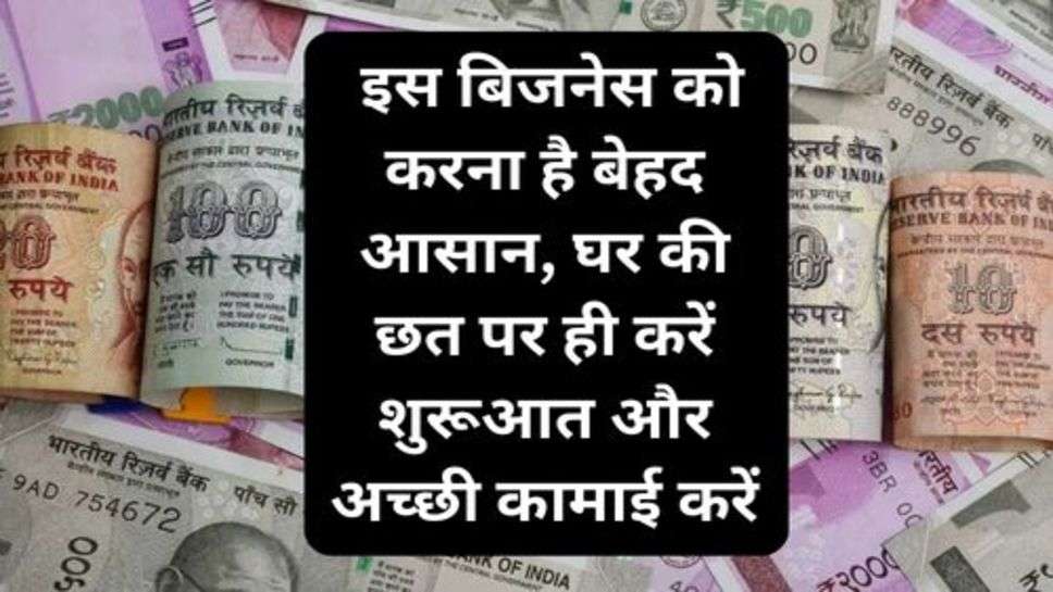 Business Idea: इस बिजनेस को करना है बेहद आसान, घर की छत पर ही करें शुरूआत और अच्छी कामाई करें