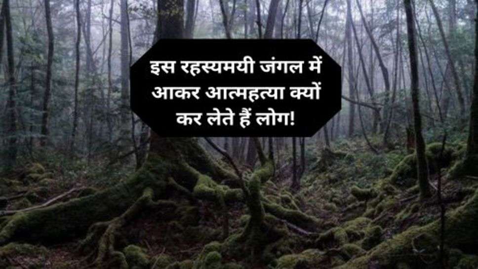 Mysterious Forest : इस रहस्यमयी जंगल में आकर आत्महत्या क्यों कर लेते हैं लोग!