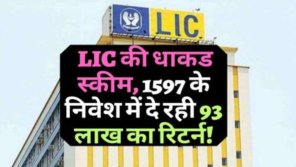  LIC की धाकड स्कीम, 1597 के निवेश में दे रही 93 लाख का रिटर्न!