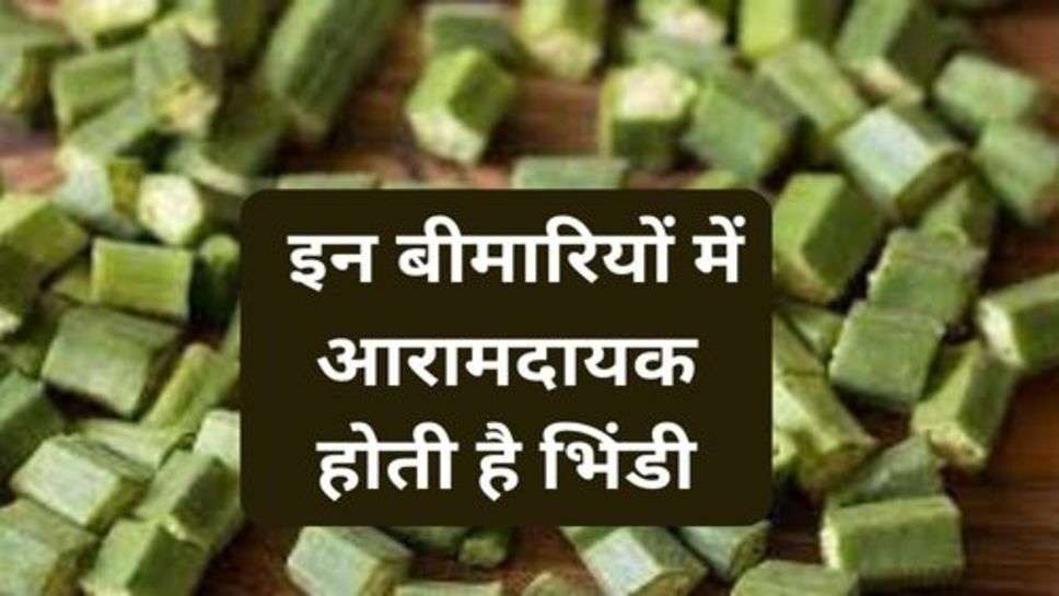 Ladyfinger : इन बीमारियों में आरामदायक होती है भिंडी