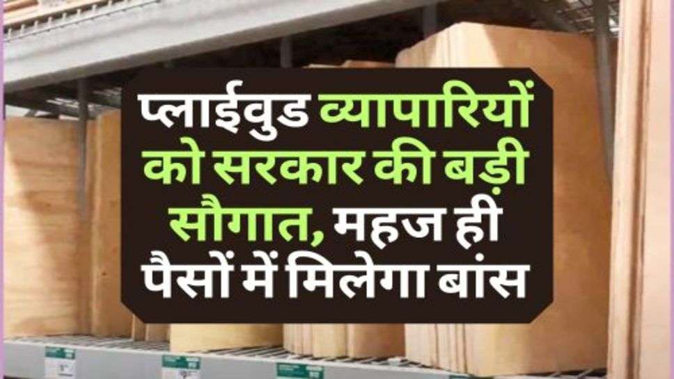 Plywood Traders : प्लाईवुड व्यापारियों को सरकार की बड़ी सौगात, महज ही पैसों में मिलेगा बांस