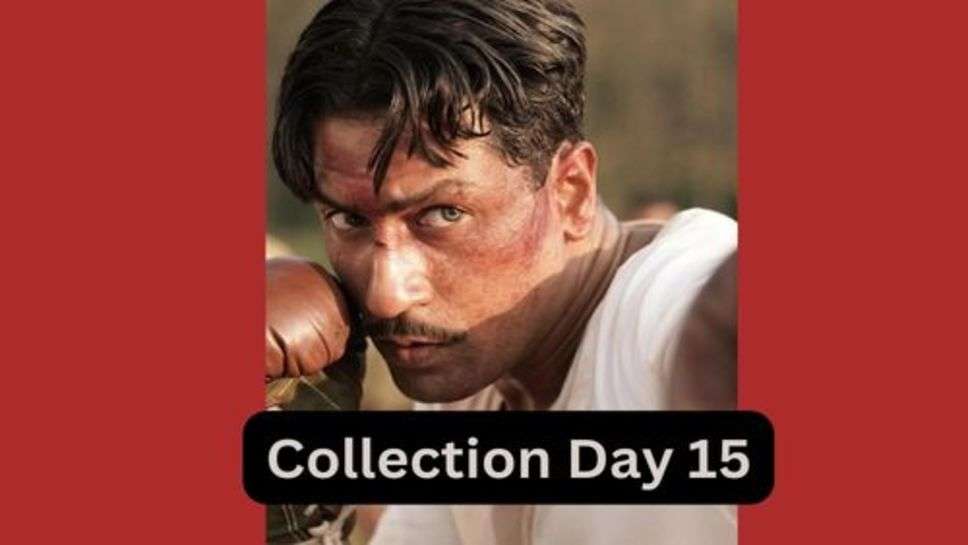 Sam Bahadur Box Office Collection Day 15: 15 वें दिन सैम बहादूर ने मारी बाजी