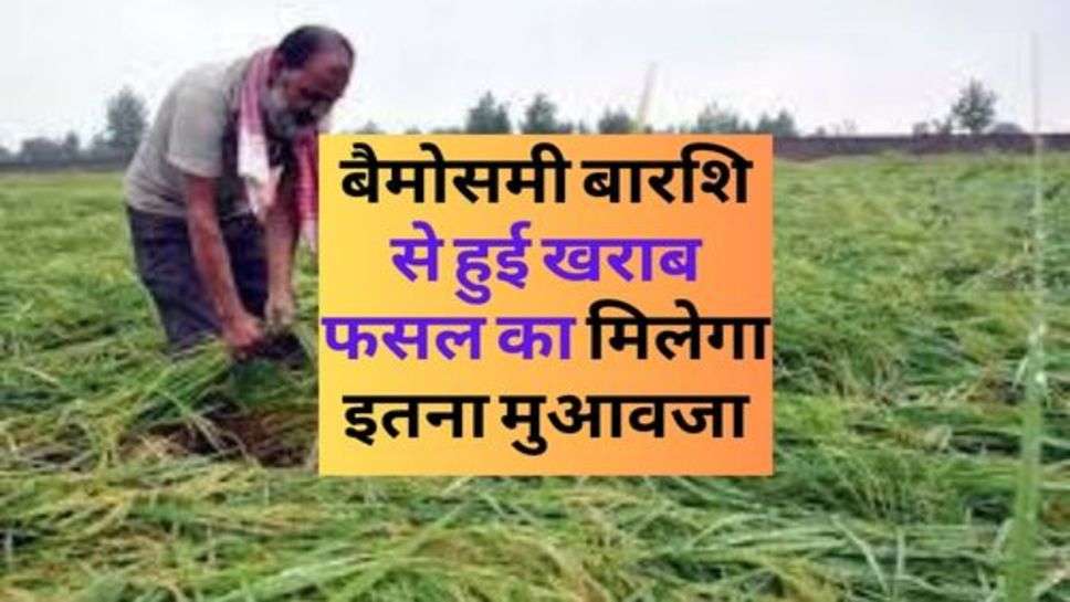 Kisan News Latest Update : किसानों की हुई मौज, बैमोसमी बारशि से हुई खराब फसल का मिलेगा इतना मुआवजा