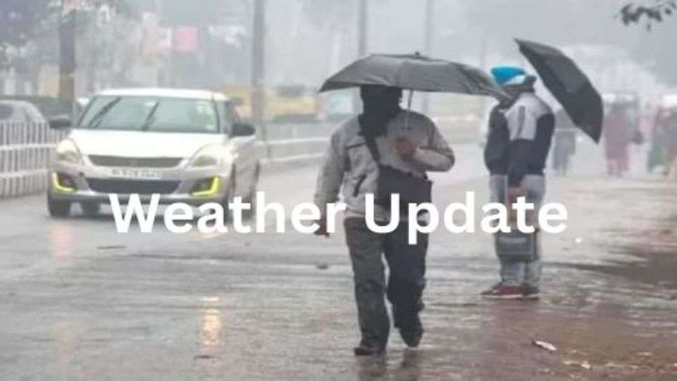 Weather Update:  दोपहर बाद इन 10 जिलों में तेज हवा के साथ झमाझम बारिश