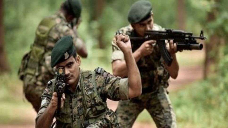 CRPF News: कश्मीर में सीआरपीएफ का एक्सन,जड़ से खत्म होगा आतंकवाद