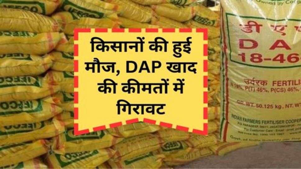 kisan News : किसानों की हुई मौज, DAP खाद की कीमतों में गिरावट