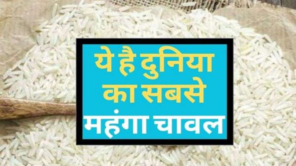 Rice Price : ये है दुनिया का सबसे महंगा चावल, कीमत जान रह जाआगे दंग