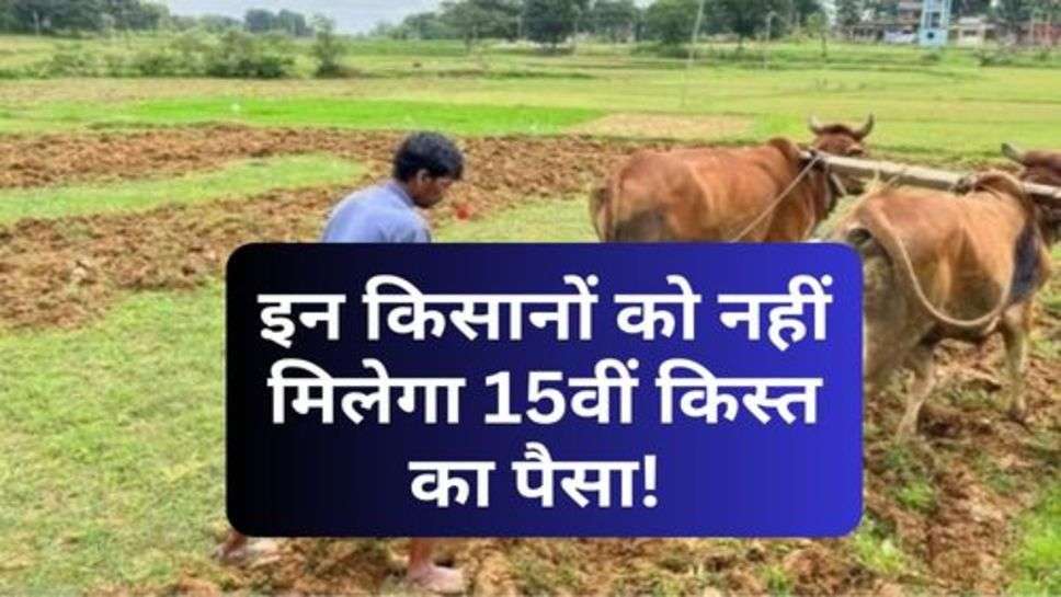 PM Kisan Yojana : इन किसानों को नहीं मिलेगा 15वीं किस्त का पैसा! जानें वजह