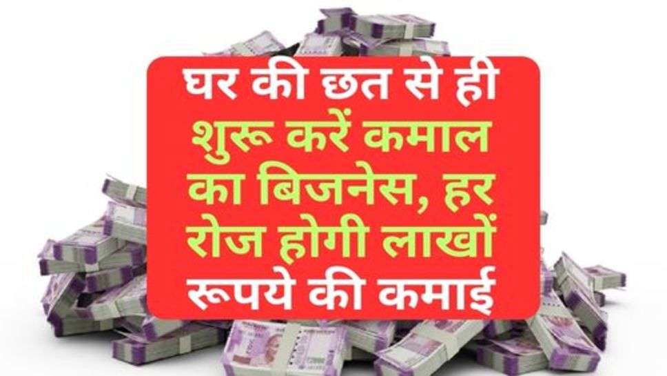 Home Business Idea : घर की छत से ही शुरू करें कमाल का बिजनेस, हर रोज होगी लाखों रूपये की कमाई