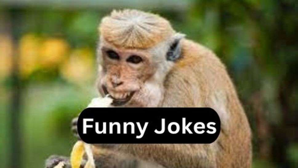 Funny Jokes: टेंशन भरी इस लाइफ में हंसी के 2 पल बहुत जरूरी है