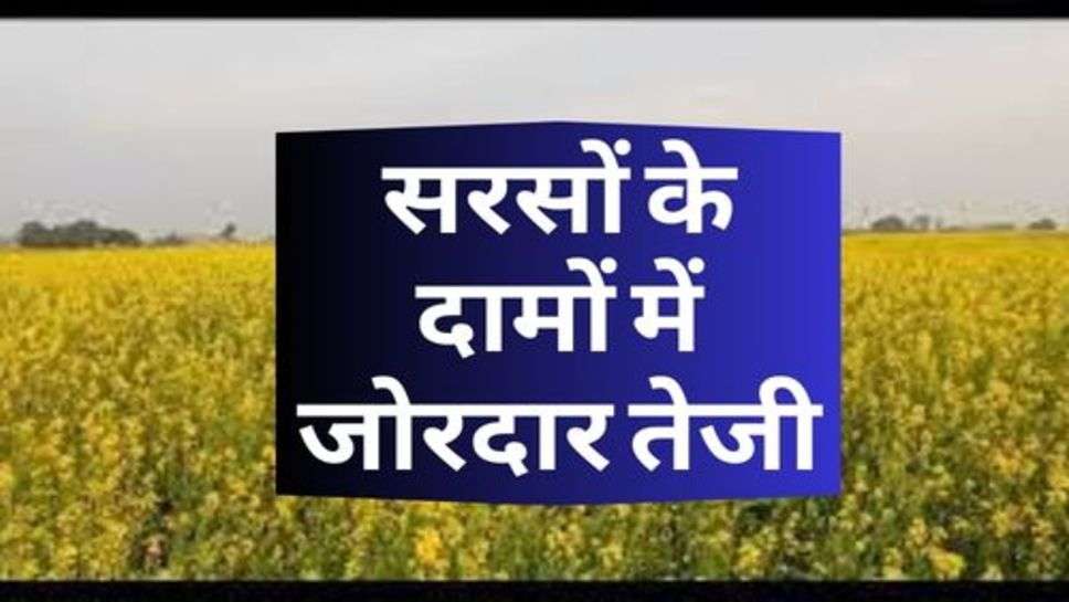 Mustard Price Hike : सरसों के दामों में जोरदार तेजी, किसान हुए खुश