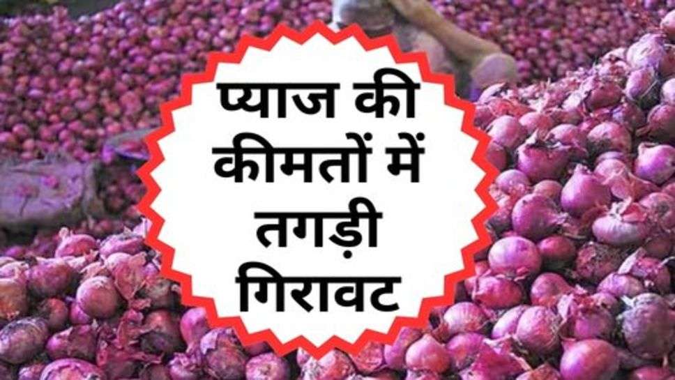 Onion Price Down : आमजन को महंगाई से राहत, प्याज की कीमतों में तगड़ी गिरावट