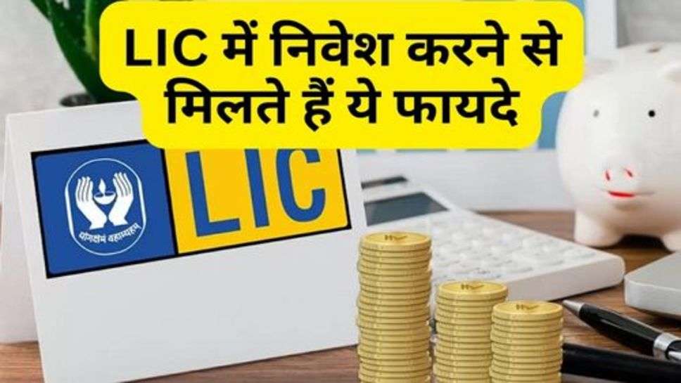 LIC में निवेश करने से मिलते हैं ये फायदे, इतना मिलेगा रिटर्न