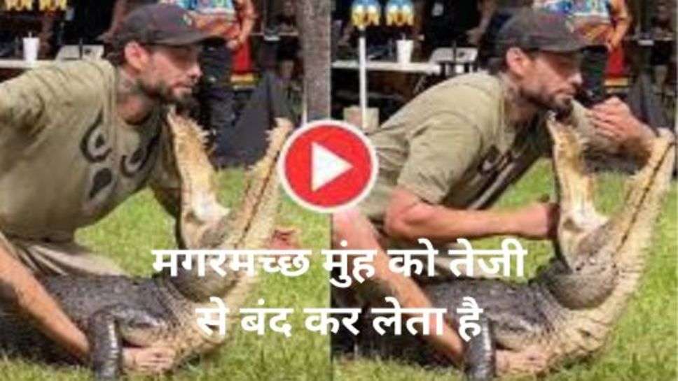 Crocodile Viral Video: मगरमच्छ के मुंह में हाथ डालाना पड़ा सख्स को भारी, घटना देख उड़ गए सभी के होश