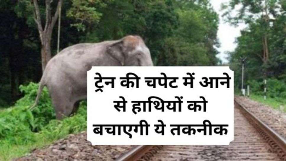 Technology will Save Elephants : ट्रेन की चपेट में आने से हाथियों को बचाएगी ये तकनीक